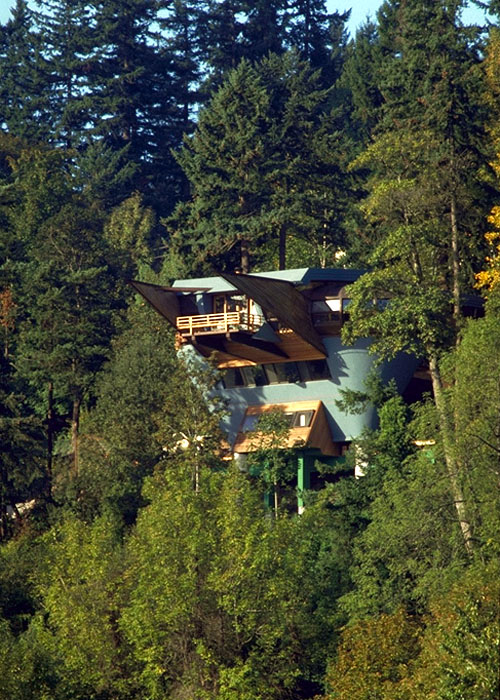 217834_3.jpg.jpg