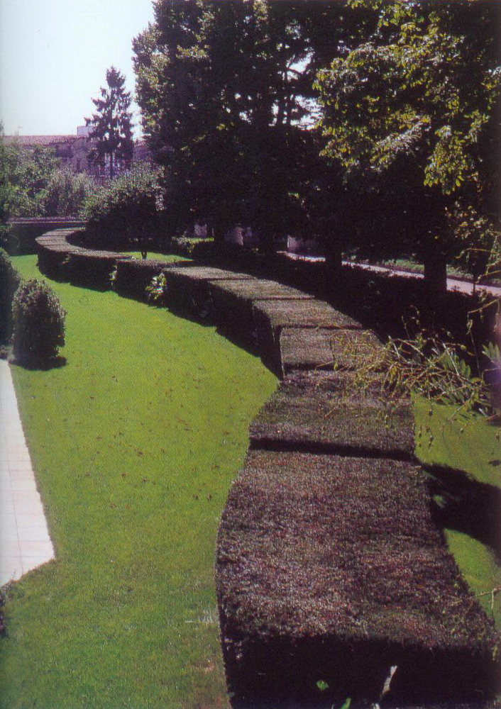 226477_5.jpg.jpg