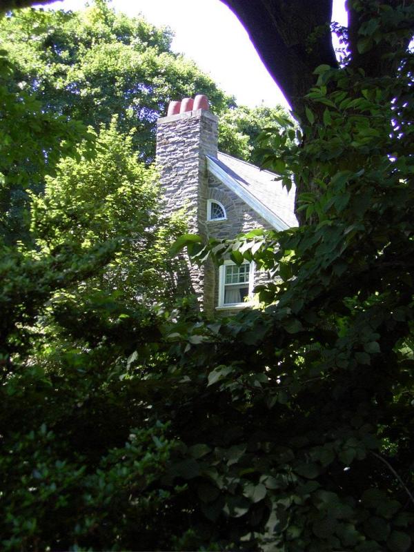 267322_19.jpg.jpg