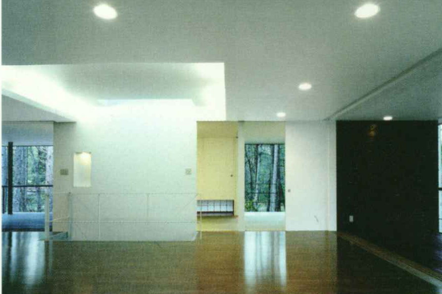 54153_5.jpg.jpg