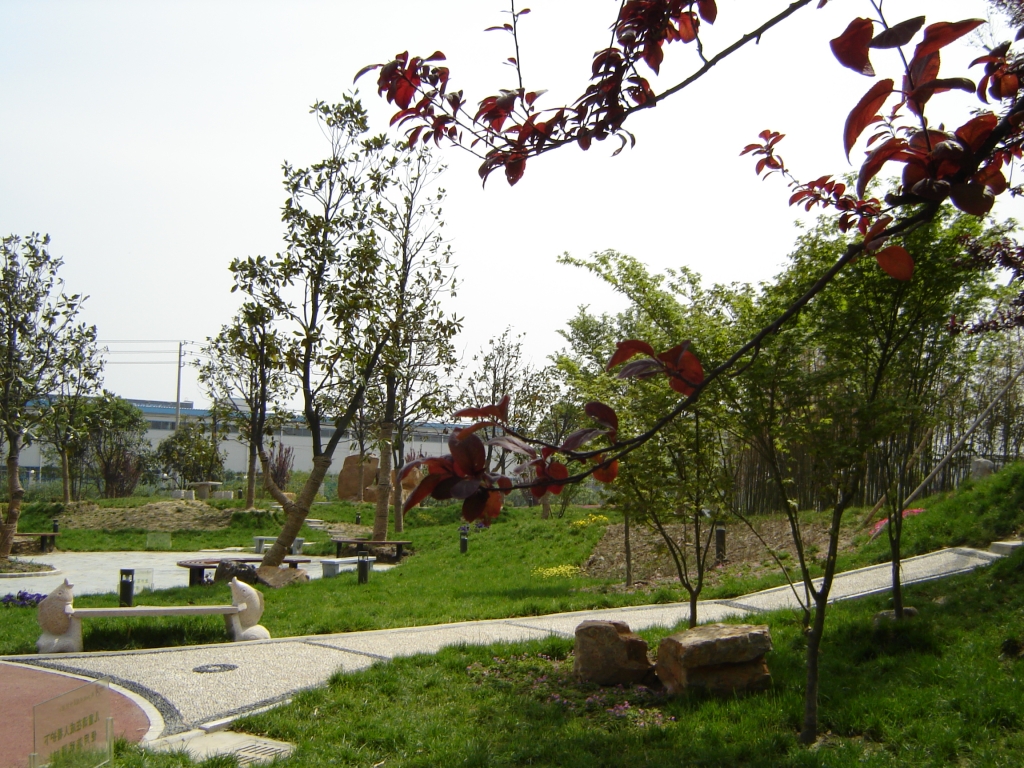 25347_3.jpg.jpg