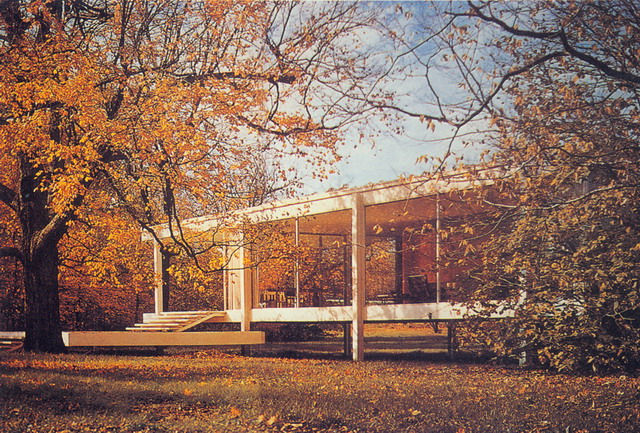 49047_6.jpg.jpg