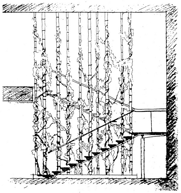 49061_20.jpg.jpg