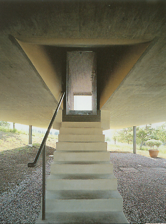 50219_5.jpg.jpg