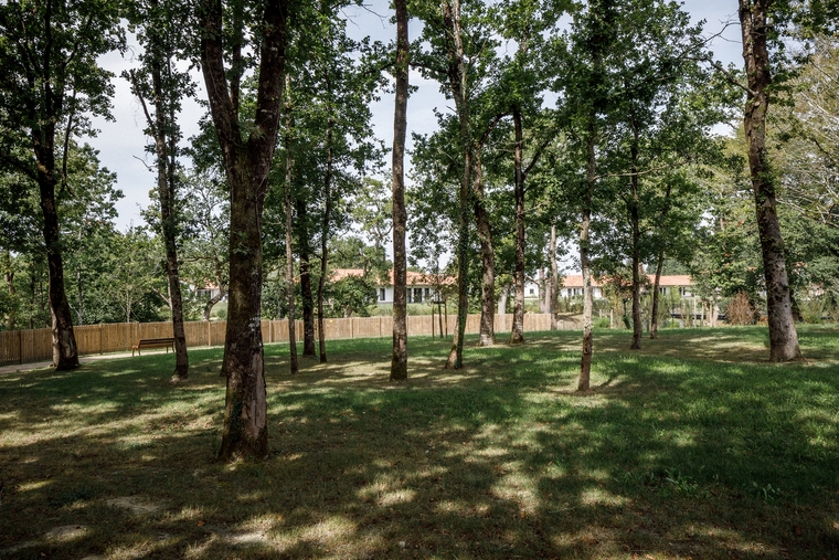 resize,w_760.jpg