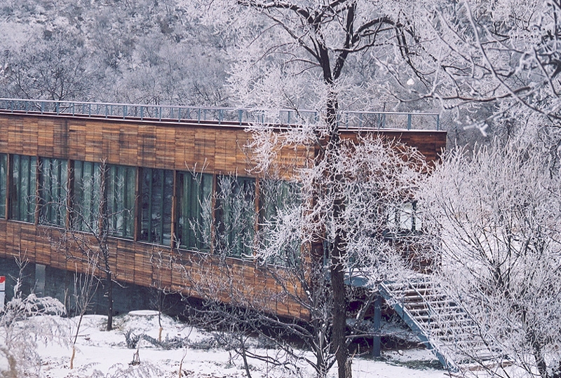 9042_17.jpg.jpg