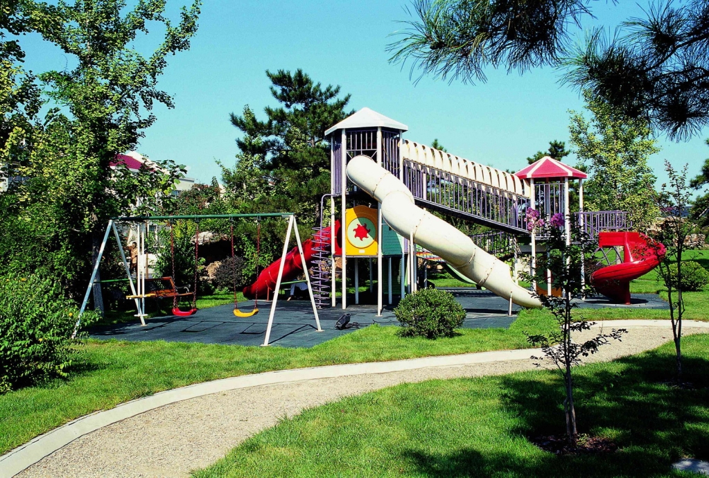 87904_5.jpg.jpg