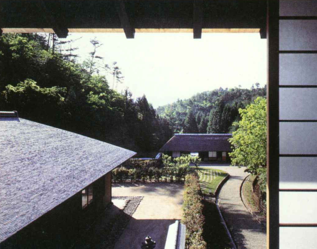 54213_5.jpg.jpg