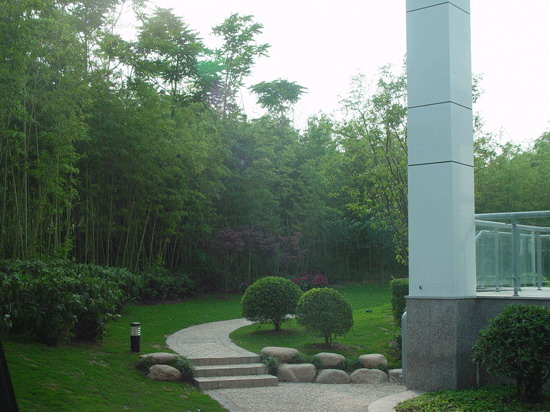 176177_4.jpg.jpg