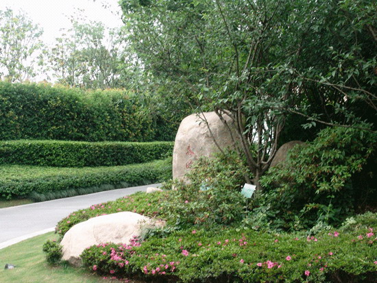 176187_14.jpg.jpg