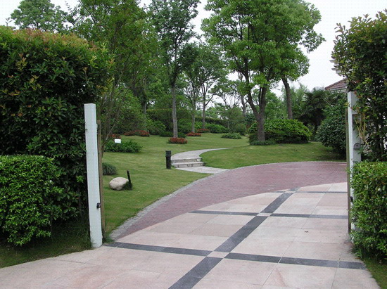 176184_11.jpg.jpg