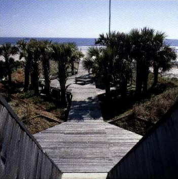 89539_11.jpg.jpg