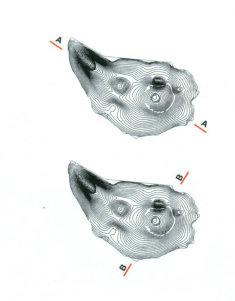 64522_15.jpg.jpg