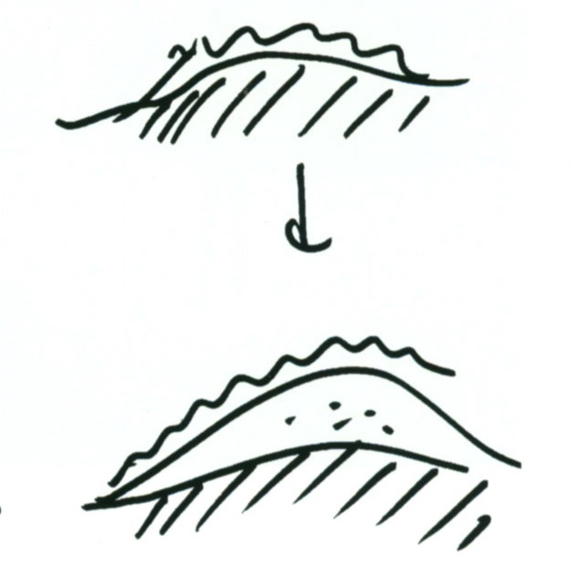 64512_5.jpg.jpg
