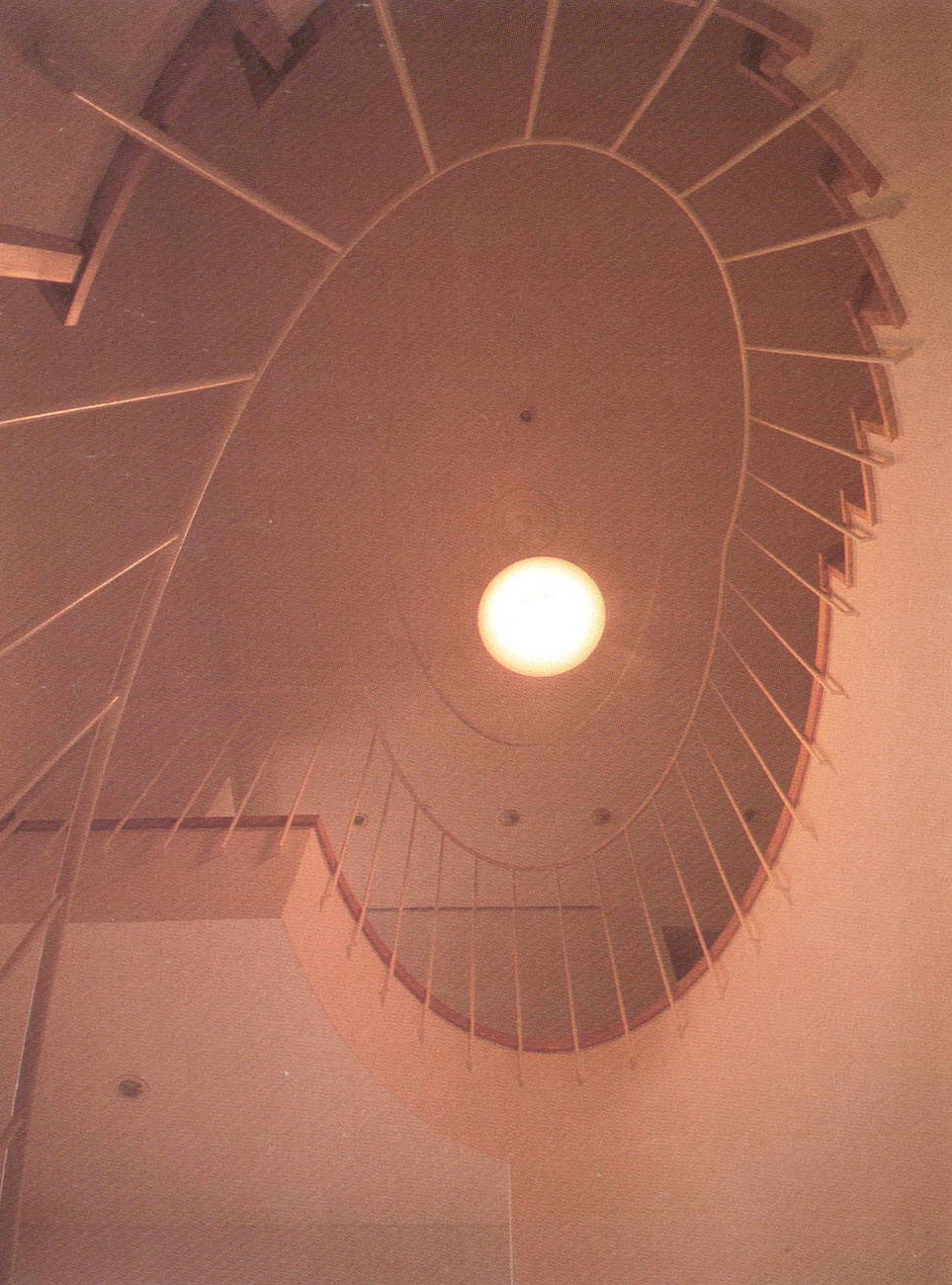 85743_5.jpg.jpg