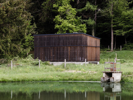 resize,w_760.jpg