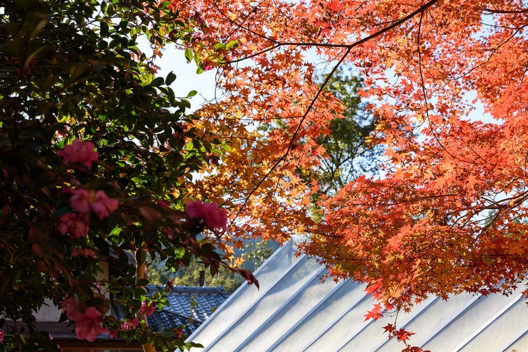 resize,w_760.jpg