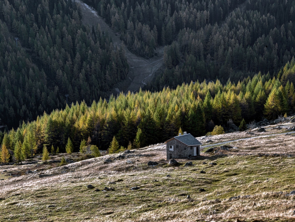 144306gcsdlmdh2nrbcf8p.jpg.jpg