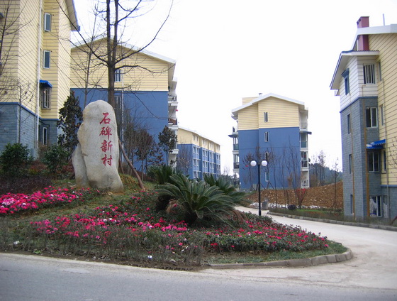 450544_3.jpg.jpg
