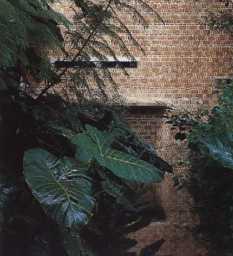 85082_5.jpg.jpg