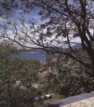 85078_1.jpg.jpg