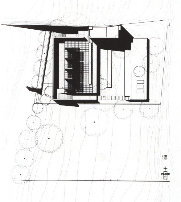 85083_6.jpg.jpg