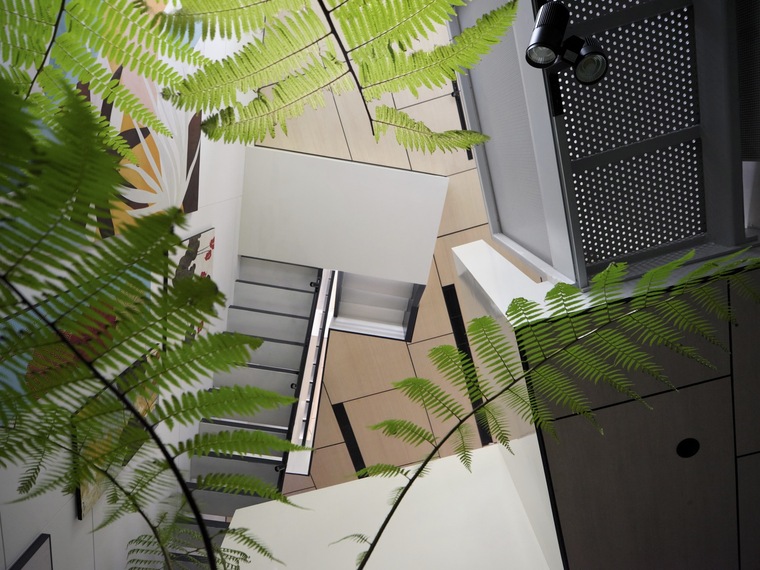 resize,w_760.jpg