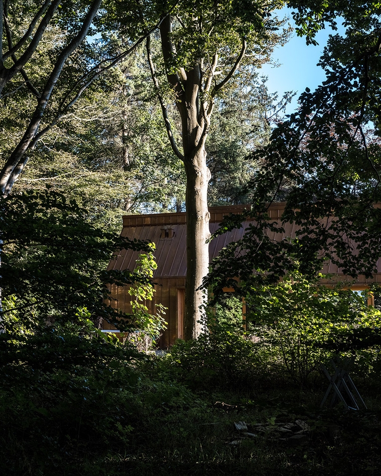 resize,w_760.jpg