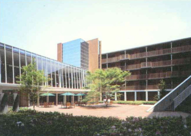 53908_6.jpg.jpg