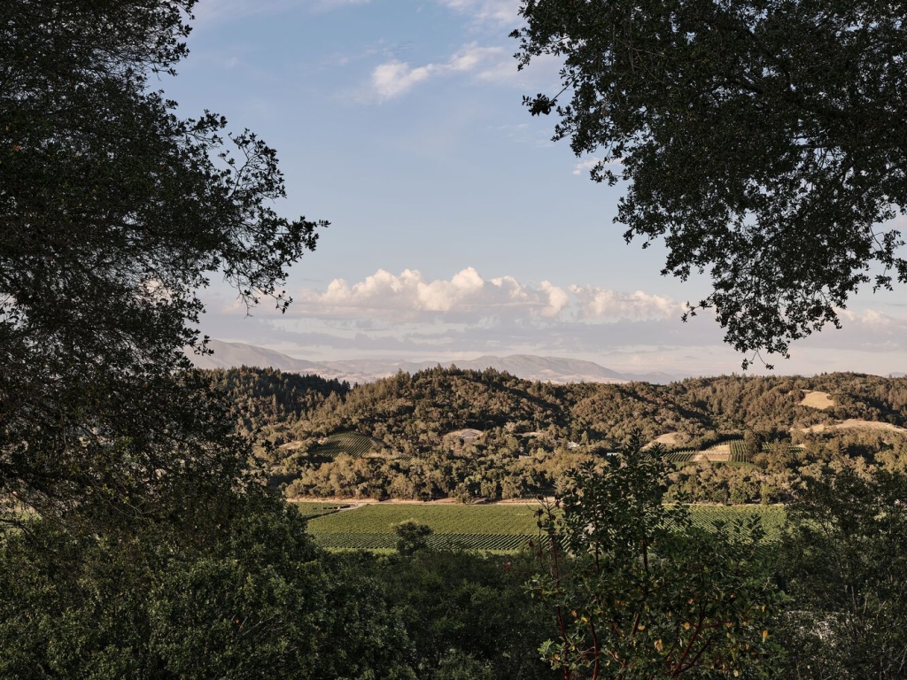 resize,w_760.jpg