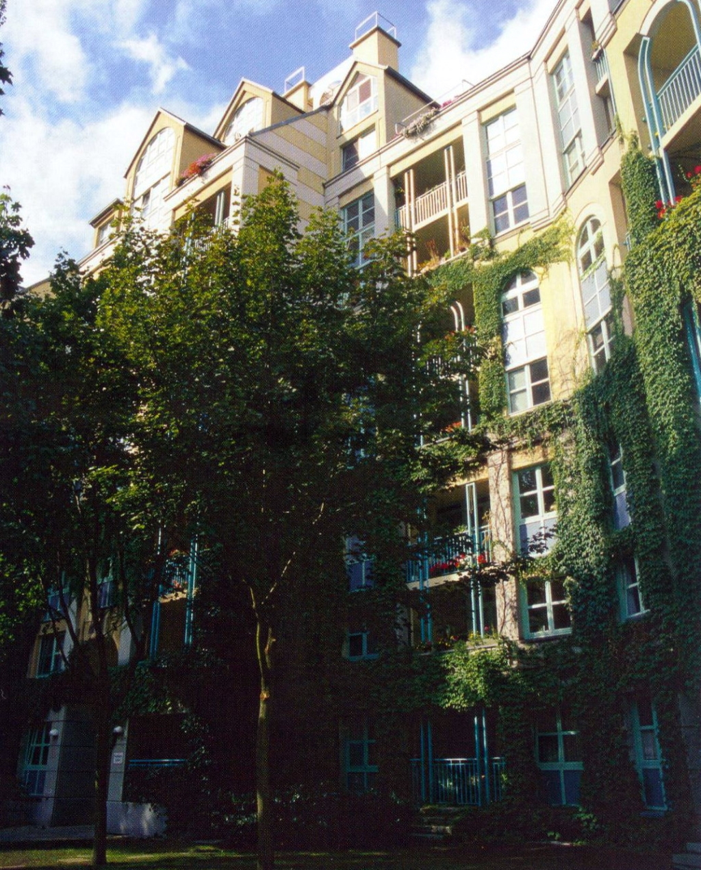 159133_10.jpg.jpg