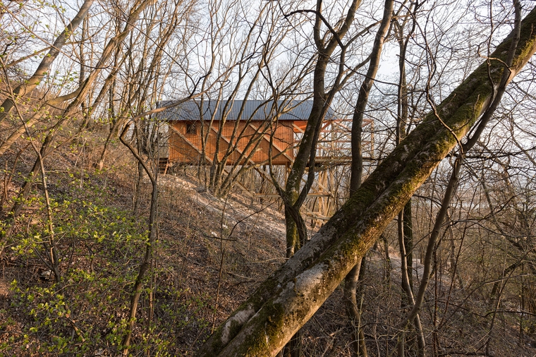 resize,w_760.jpg