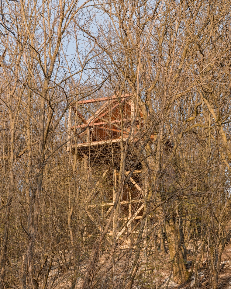 resize,w_760.jpg