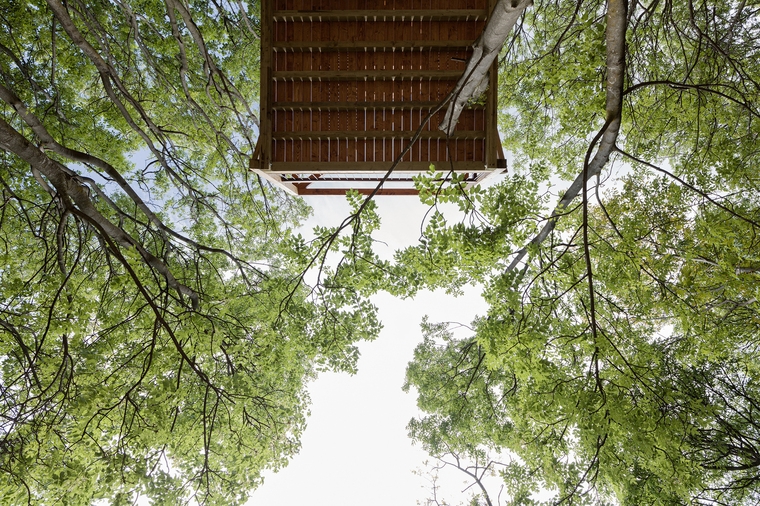 resize,w_760.jpg