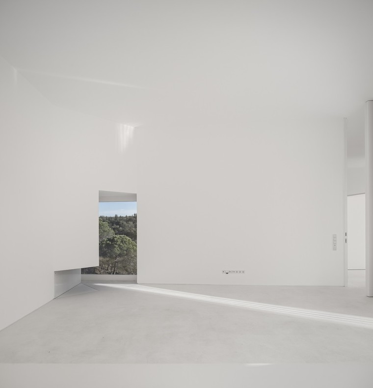 resize,w_760.jpg
