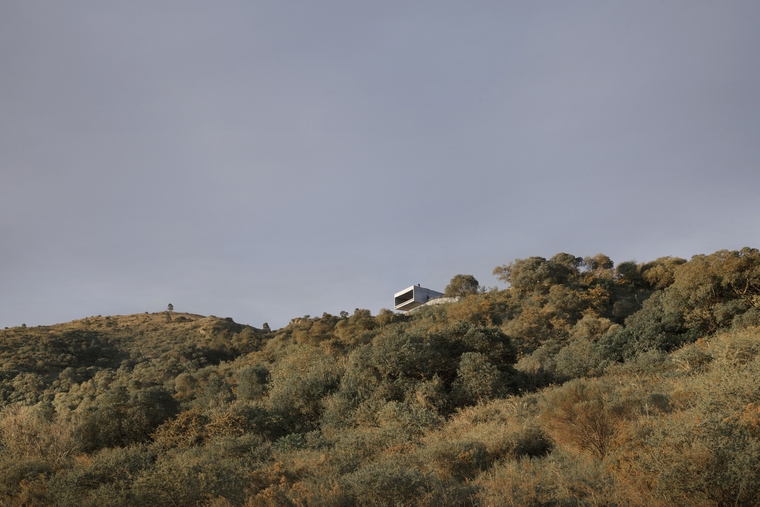 resize,w_760.jpg