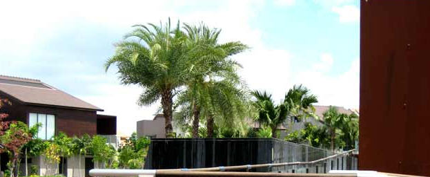 481176_12.jpg.jpg