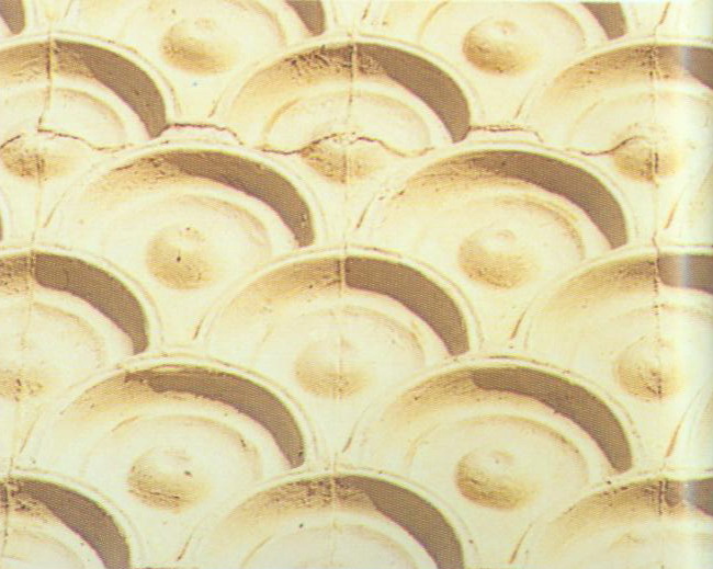 165554_9.jpg.jpg