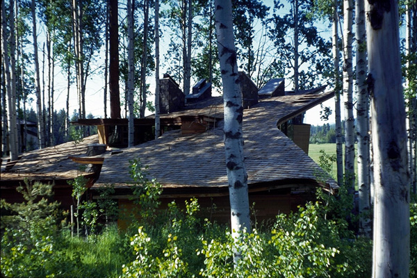 217887_11.jpg.jpg