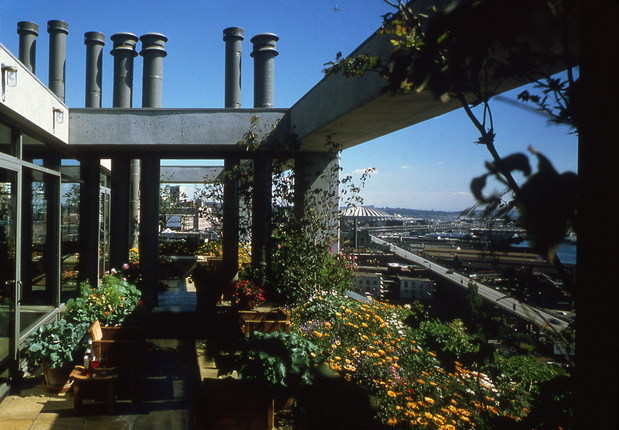 219556_4.jpg.jpg