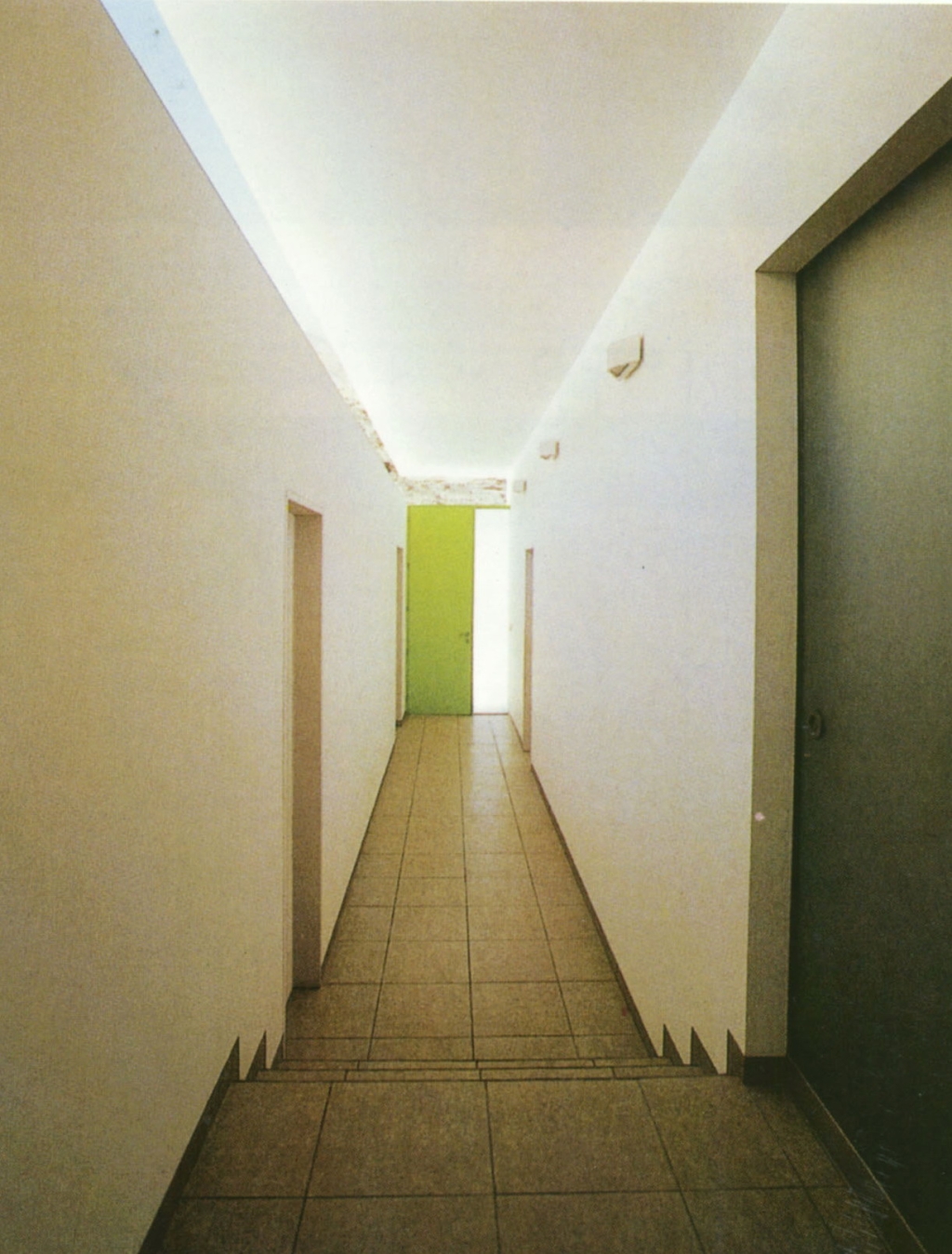 74533_2.jpg.jpg