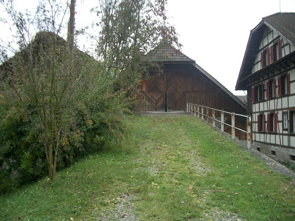 237066_5.jpg.jpg