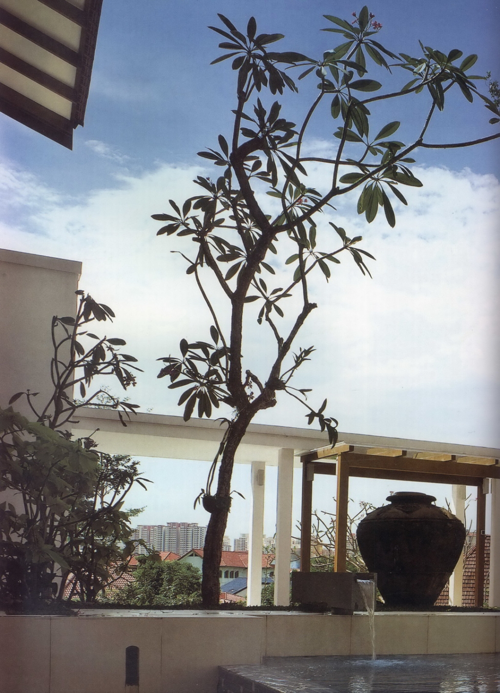618964_3.jpg.jpg