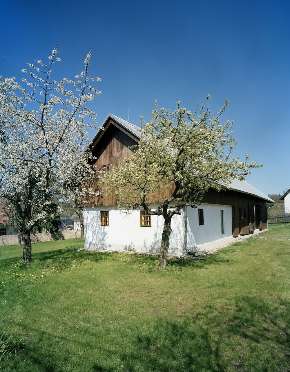 600984_3.jpg.jpg