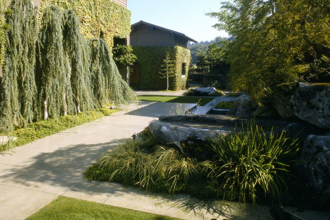 219242_5.jpg.jpg
