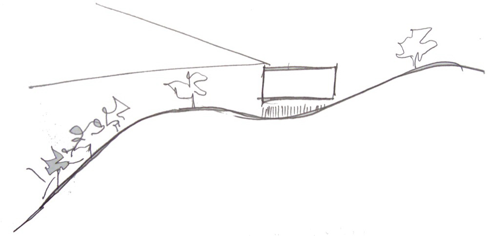 405580_43.jpg.jpg