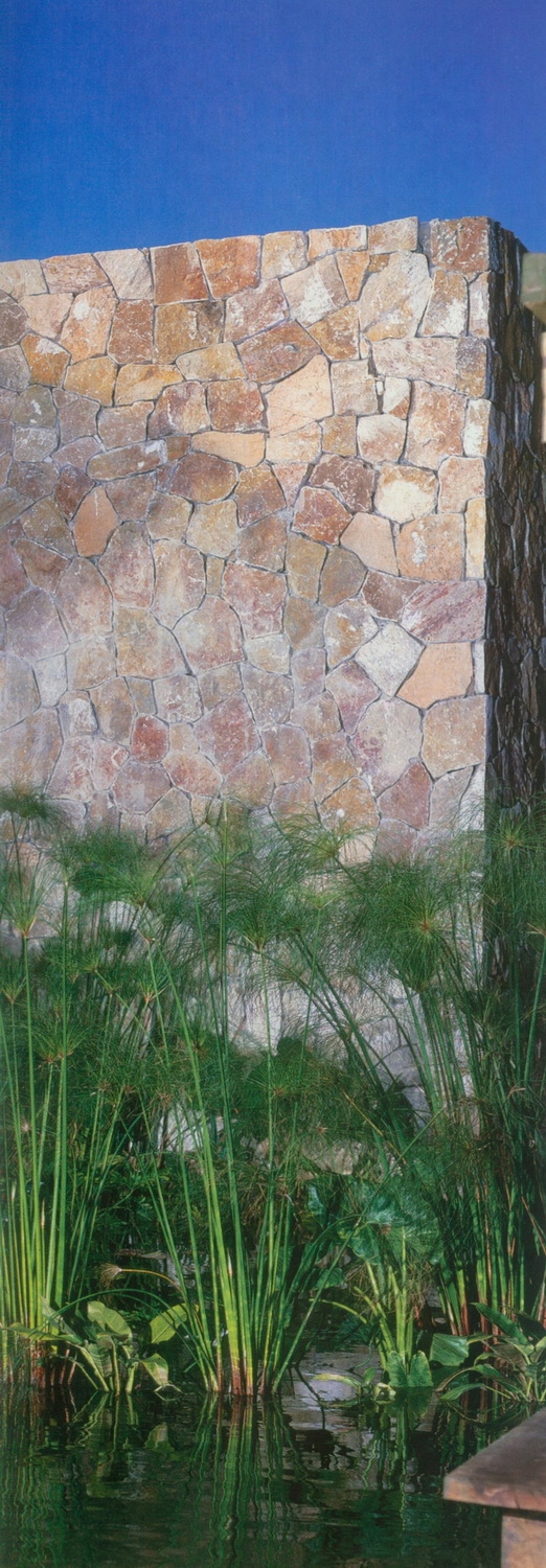 570226_53.jpg.jpg
