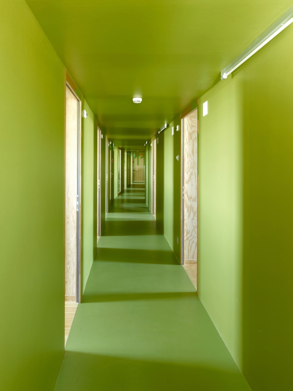 091158xb4llz6jy0jjpjcj.jpg.jpg