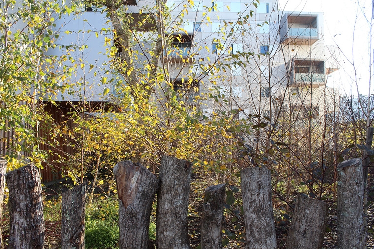 resize,w_760.jpg
