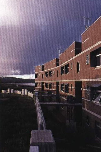 81649_7.jpg.jpg